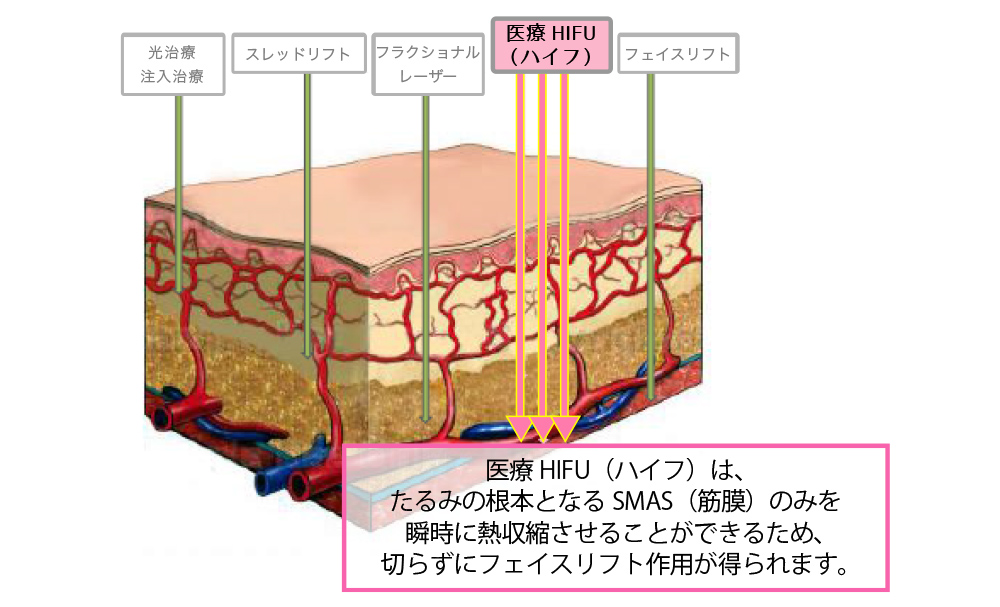 お肌の土台