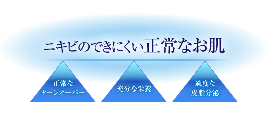 ニキビのできにくい正常なお肌