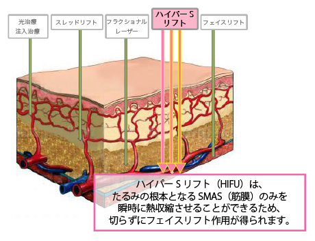 皮膚 イメージ