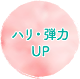 ハリ・弾力UP