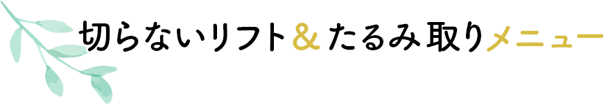 切らないリフト＆たるみ取りメニュー