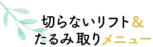 切らないリフト＆たるみ取りメニュー