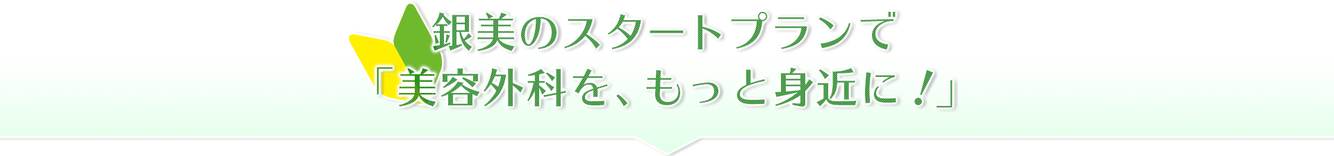 銀美のスタートプランで「美容外科を、もっと身近に！」