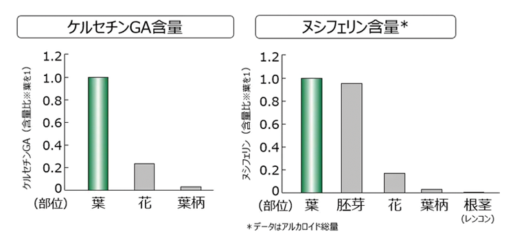 乾燥や炎症を抑えダウンタイムを早く回復