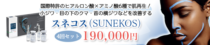 スネコス新導入！
