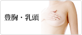 豊胸・乳頭